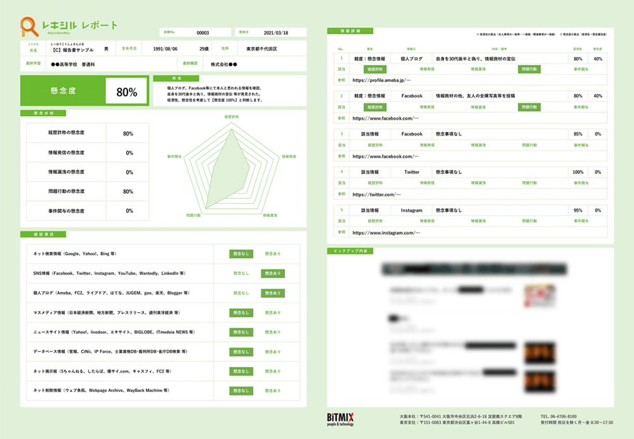 レキシルWEB調査レポート例