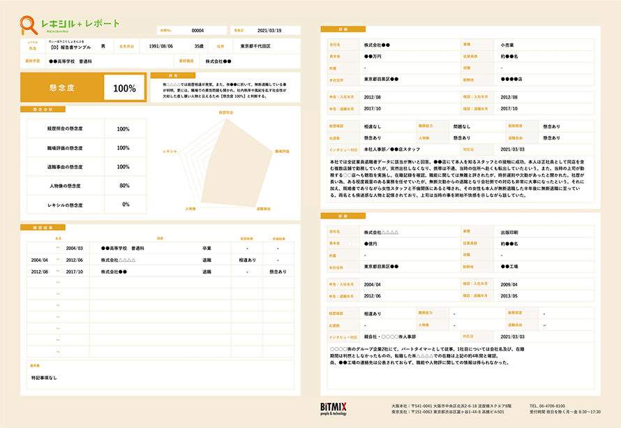 レキシル第三者チェックレポート例
